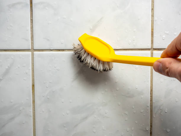 Attic Mold Removal in Moss Beach, CA