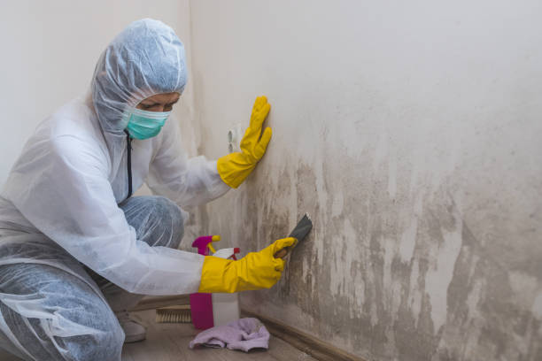 Best Crawl Space Mold Removal  in Moss Beach, CA
