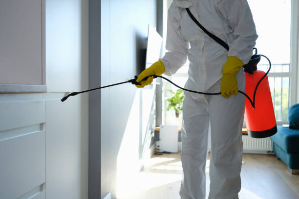 Best Emergency Mold Removal  in Moss Beach, CA