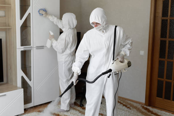 Best Black Mold Removal  in Moss Beach, CA