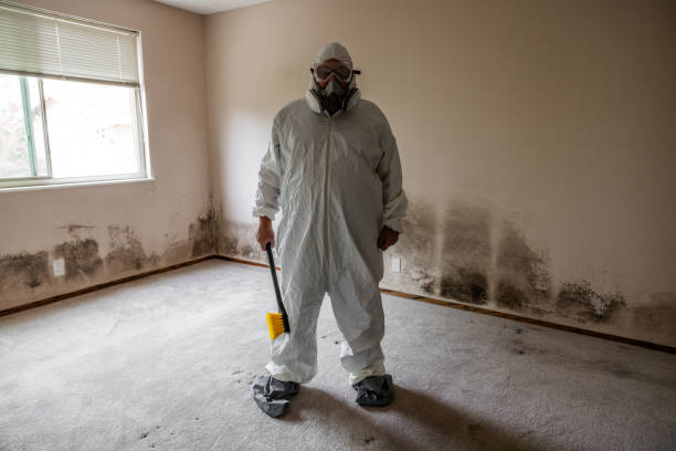 Best Commercial Mold Removal  in Moss Beach, CA