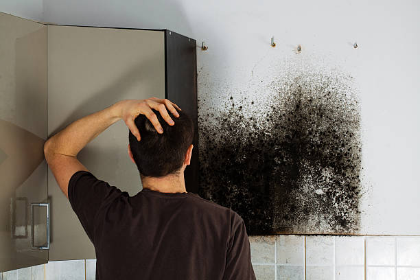 Best Mold Testing  in Moss Beach, CA